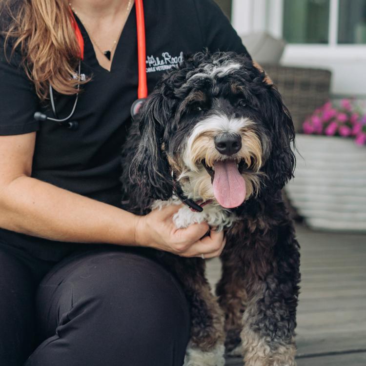 practice gallery photo