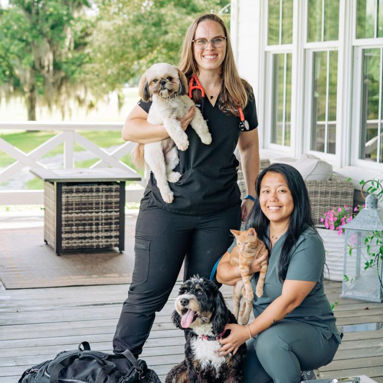 practice gallery photo