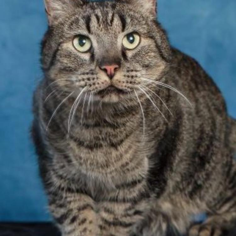 practice gallery photo