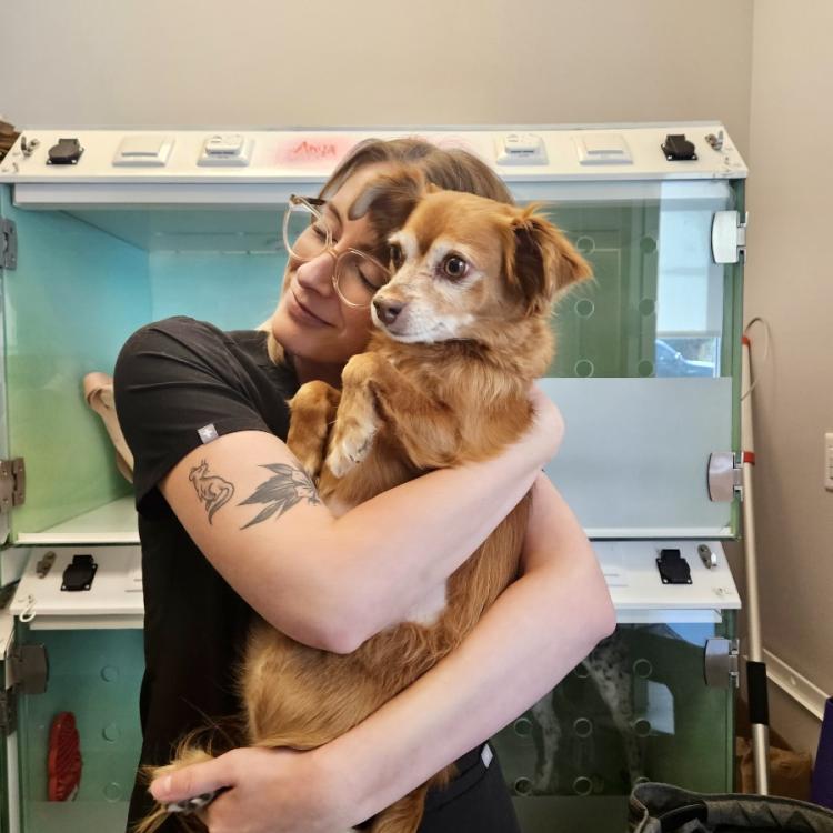 practice gallery photo