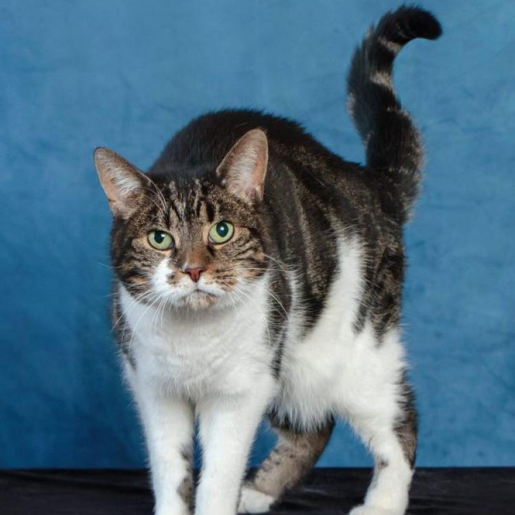 practice gallery photo