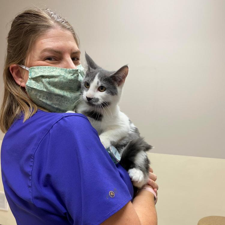 Risius Family Veterinary Service Maquoketa Maquoketa, IA