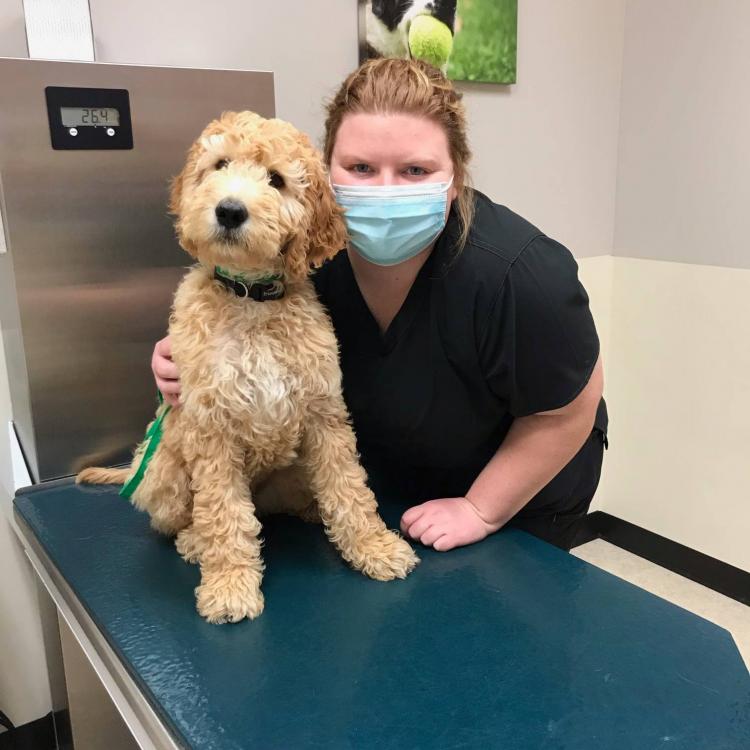 Risius Family Veterinary Service Maquoketa Maquoketa, IA