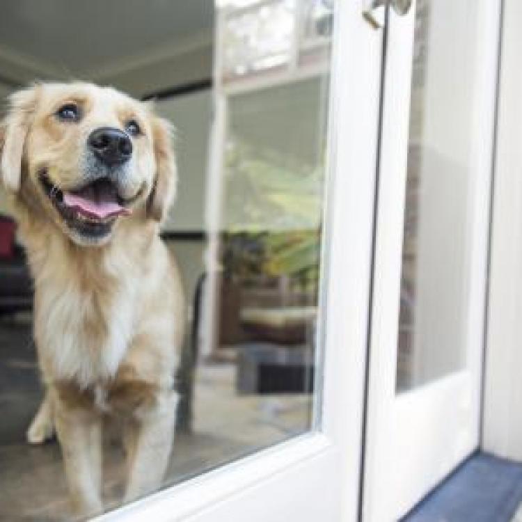 Riverbark Veterinary Hospital Fayetteville Fayetteville, NC