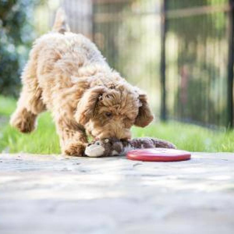 Riverbark Veterinary Hospital Fayetteville Fayetteville, NC