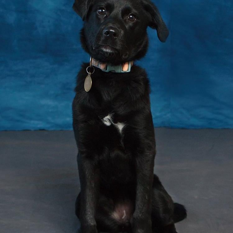 practice gallery photo