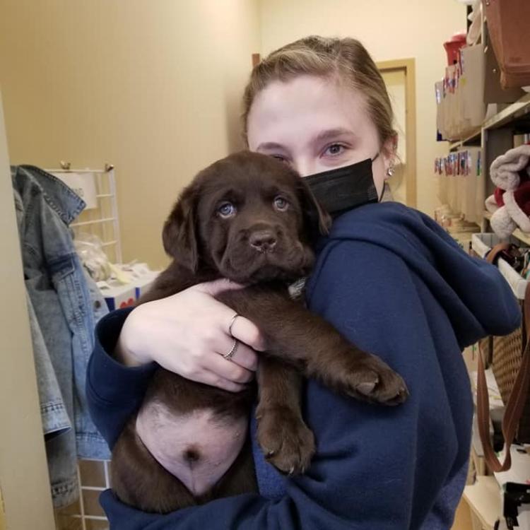 South Town Animal Hospital – South Elgin, IL South Town Animal Hospital – South Elgin, IL