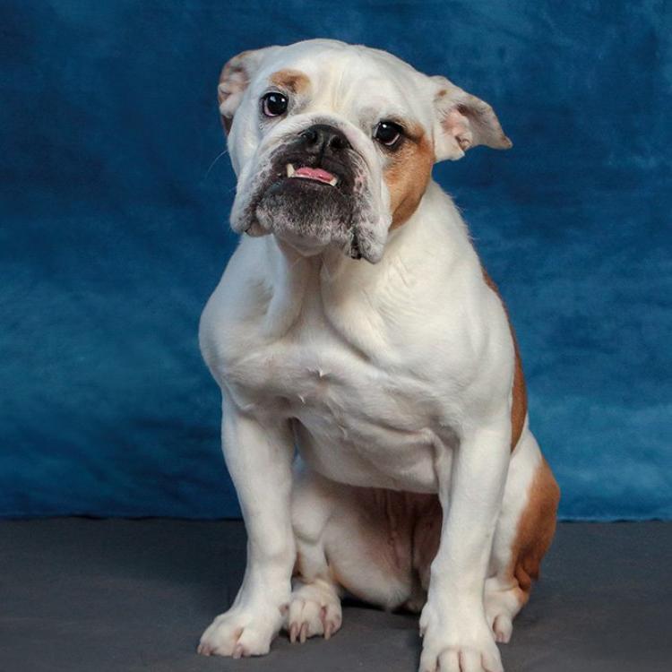 practice gallery photo