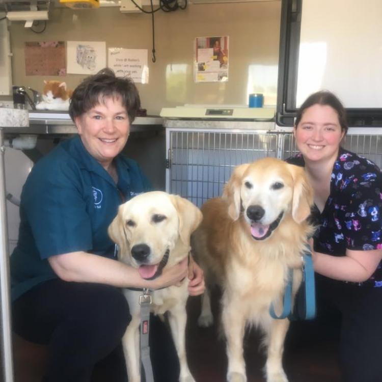 Stover Veterinary Services Tiffin, OH