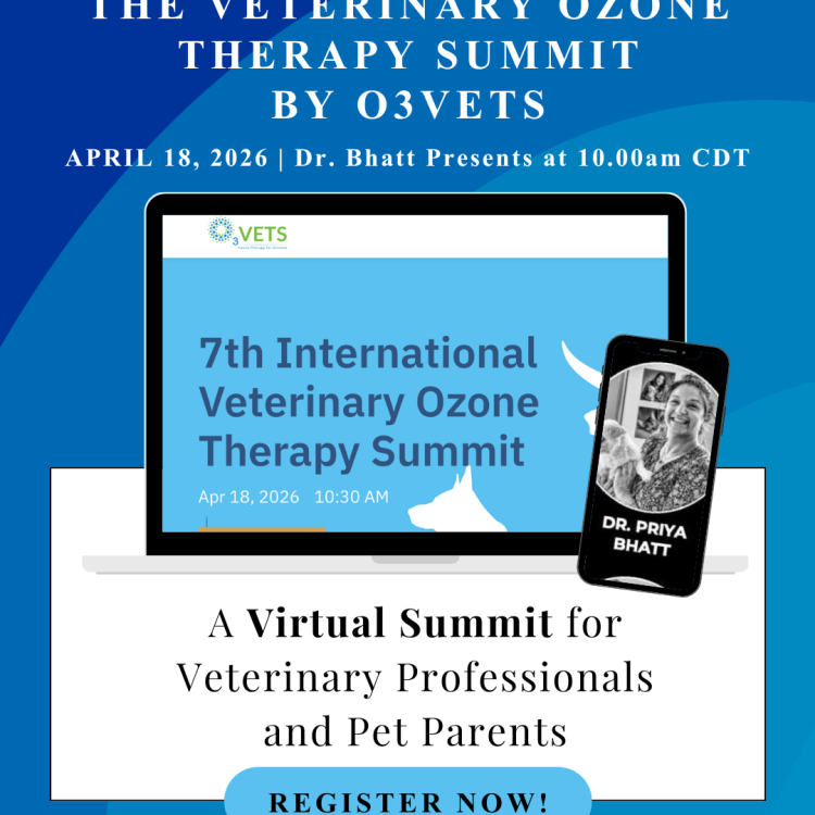 practice gallery photo