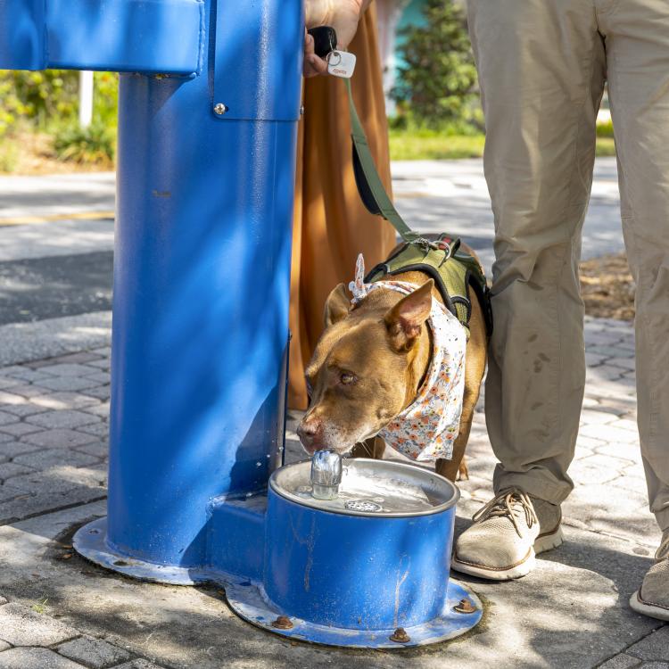 practice gallery photo