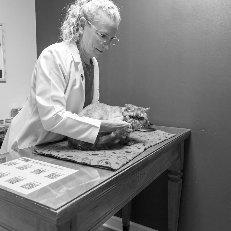 practice gallery photo