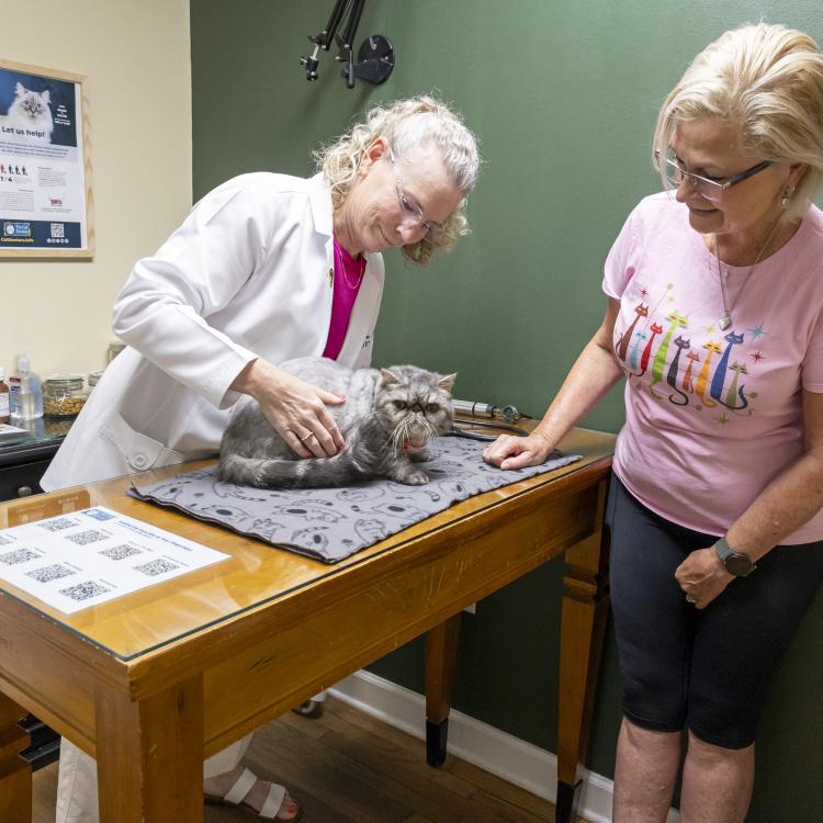 practice gallery photo