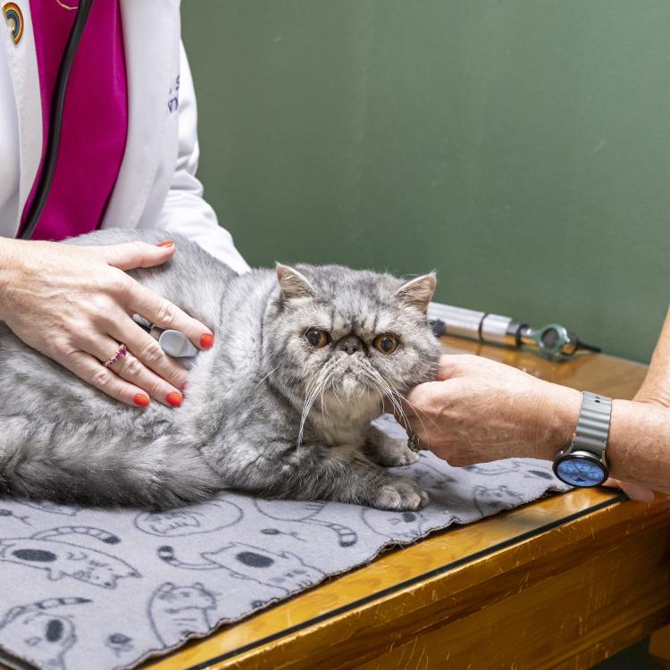 practice gallery photo