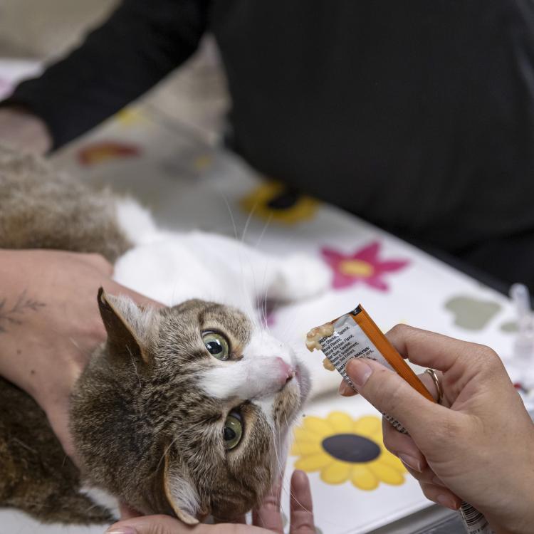 practice gallery photo