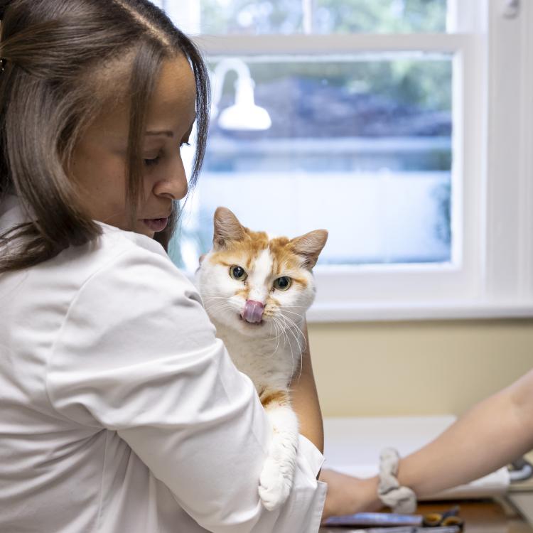 practice gallery photo