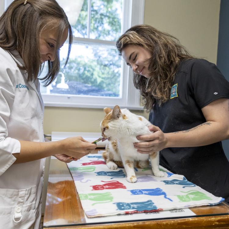 practice gallery photo