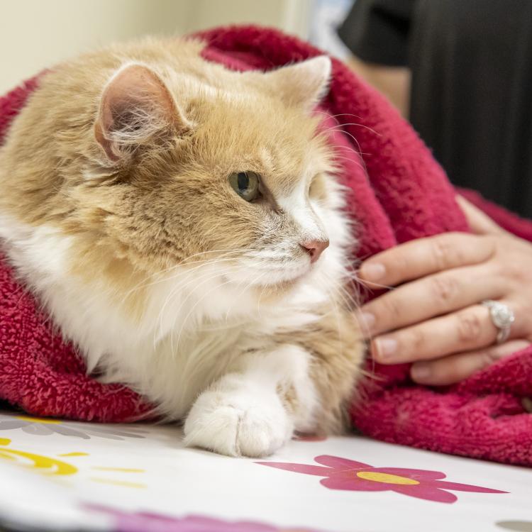 practice gallery photo