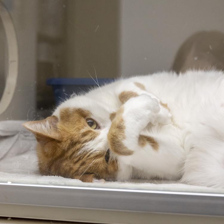 practice gallery photo