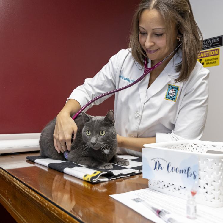 practice gallery photo