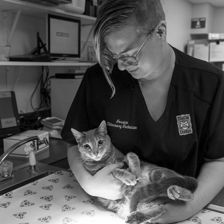 practice gallery photo