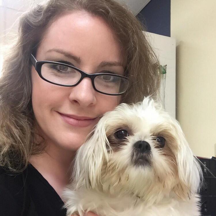 Animal Hospital Of Tiffin Tiffin Oh