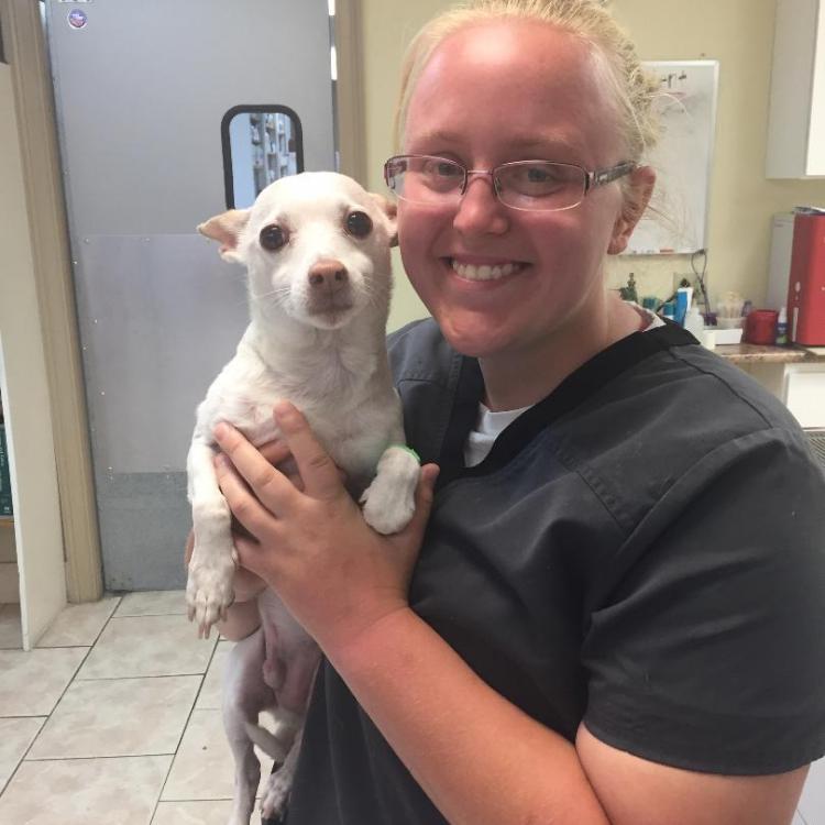 Animal Hospital Of Tiffin Tiffin Oh