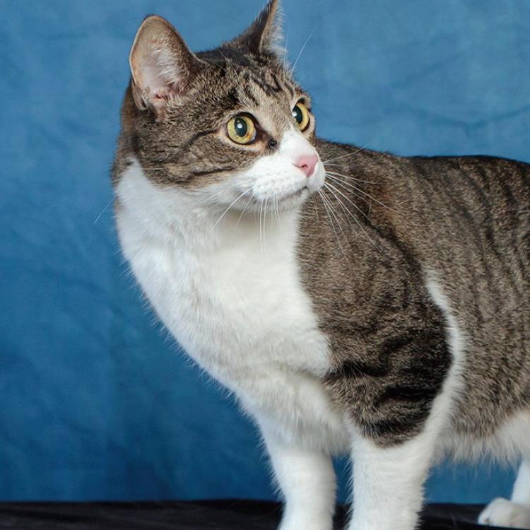 practice gallery photo