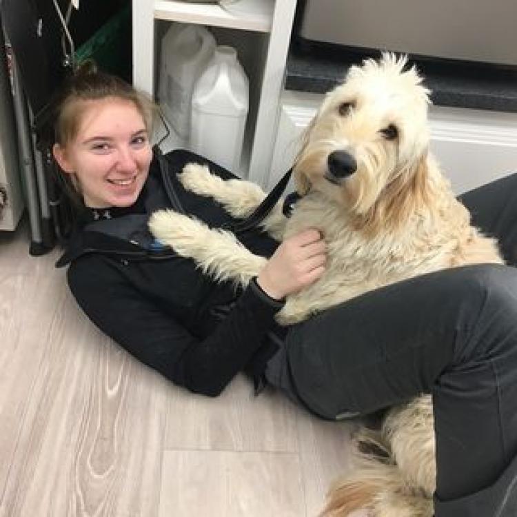 Emergency Clinic At The Vestal Vestal Ny