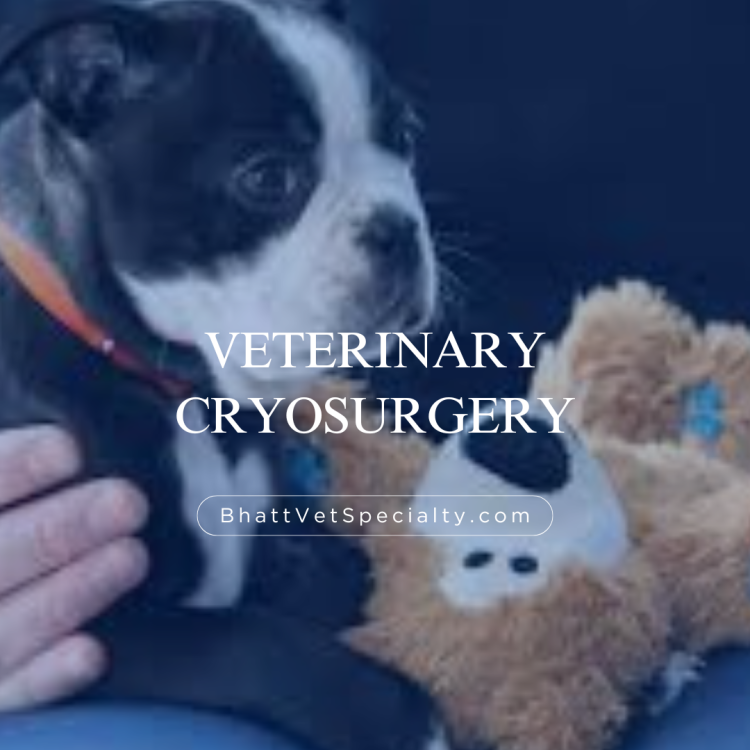 practice gallery photo