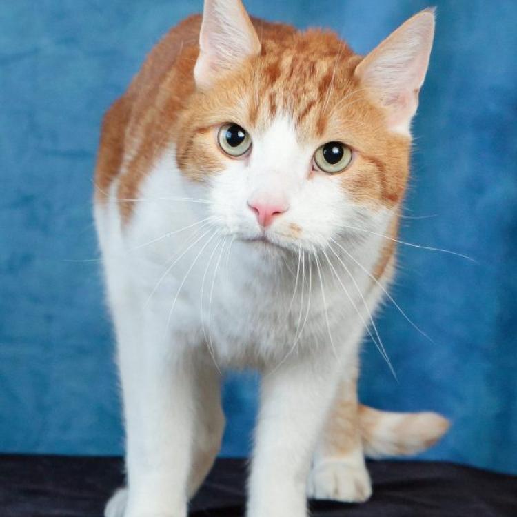 practice gallery photo