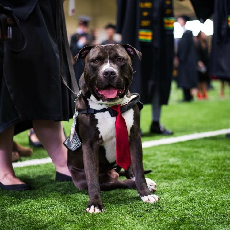 Veterinary Specialists of Birmingham Birmingham, AL