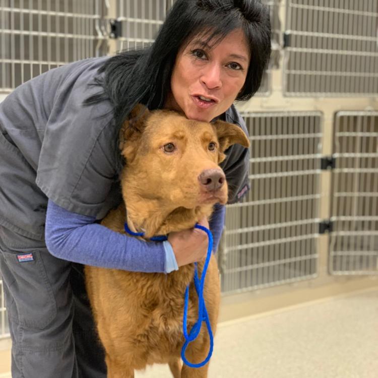 Veterinary Specialists of Birmingham Birmingham, AL