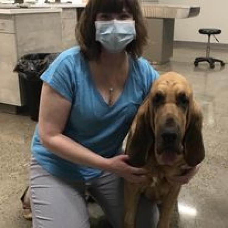 Animal Dermatology Clinic Portland – ,