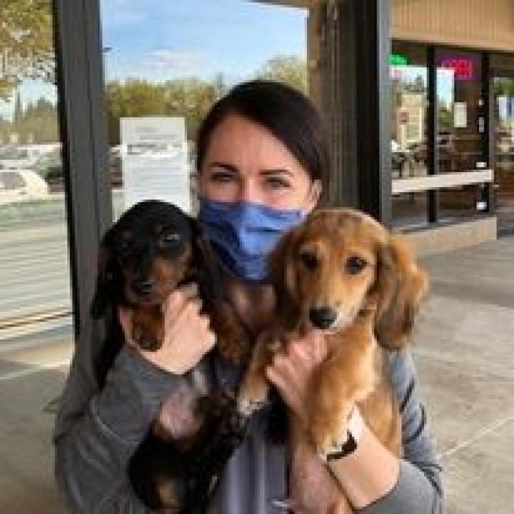 Animal Dermatology Clinic Portland – ,