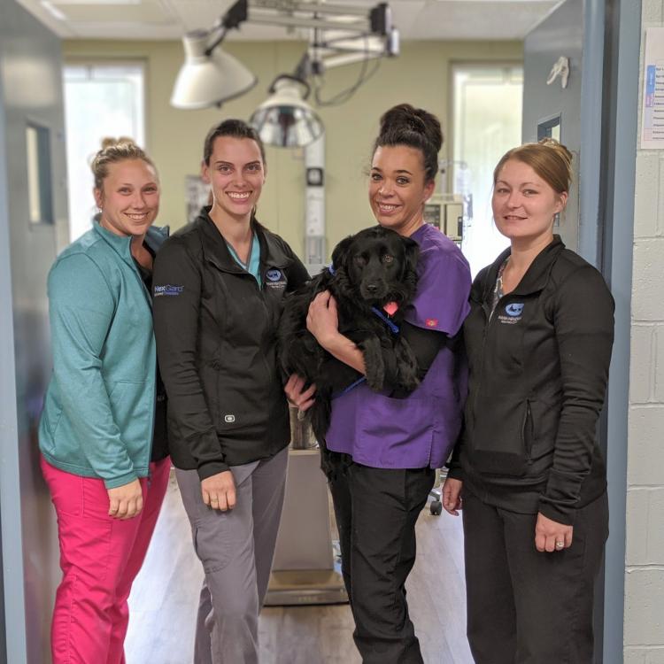 Mann Memorial Vet Clinic Arundel, ME