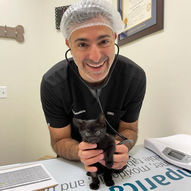 practice gallery photo