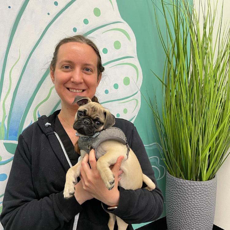 practice gallery photo