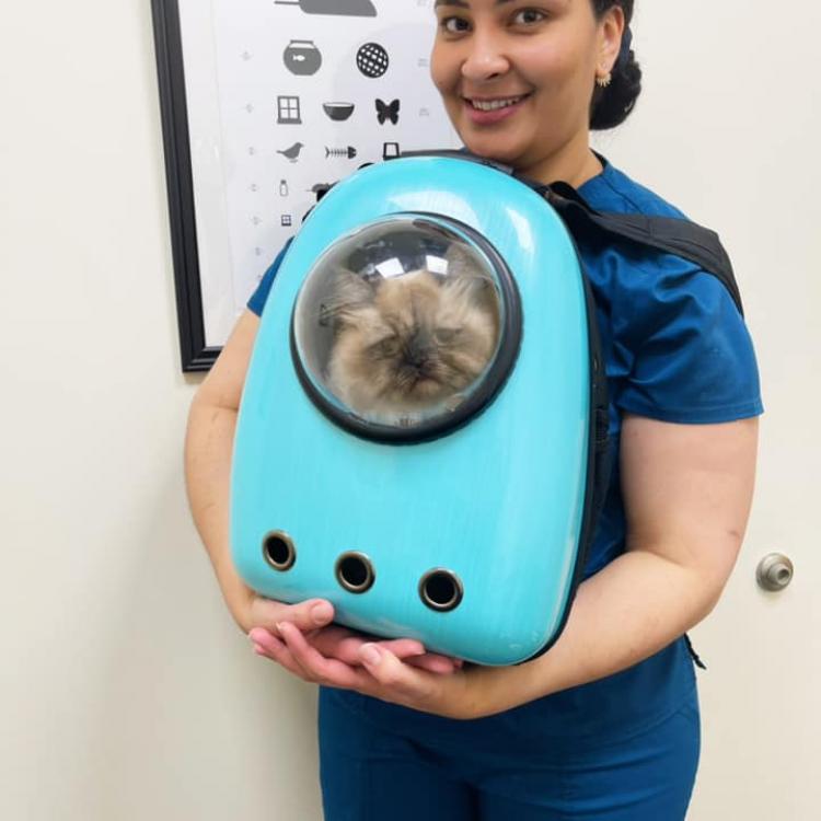 practice gallery photo