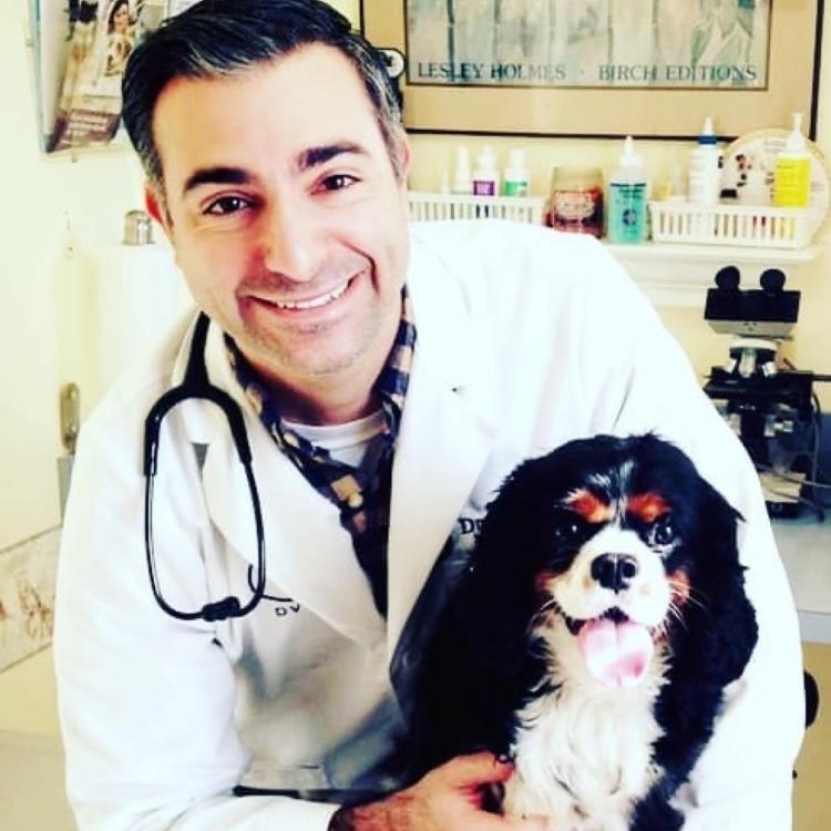 practice gallery photo