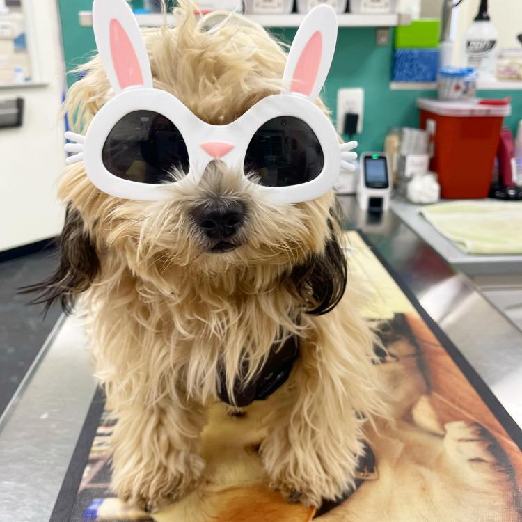 practice gallery photo