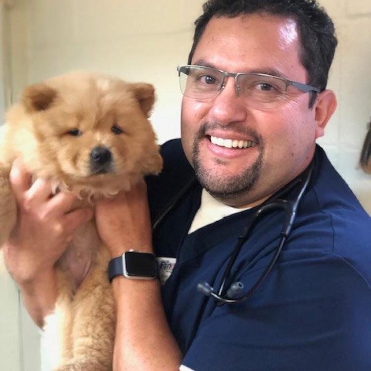 Hercules Pet Clinic Hercules, CA