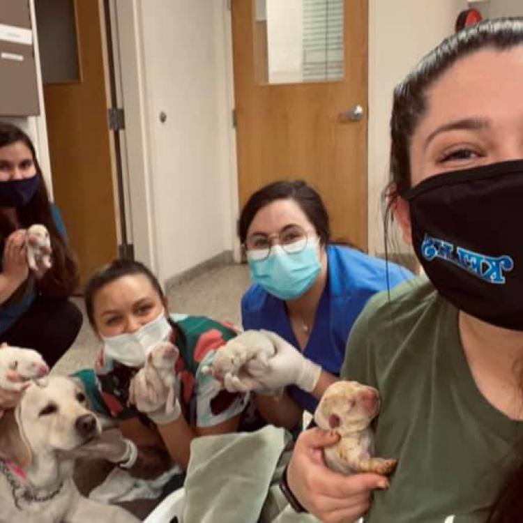 Crater Animal Clinic – Central Point, OR Crater Animal Clinic – Central Point, OR