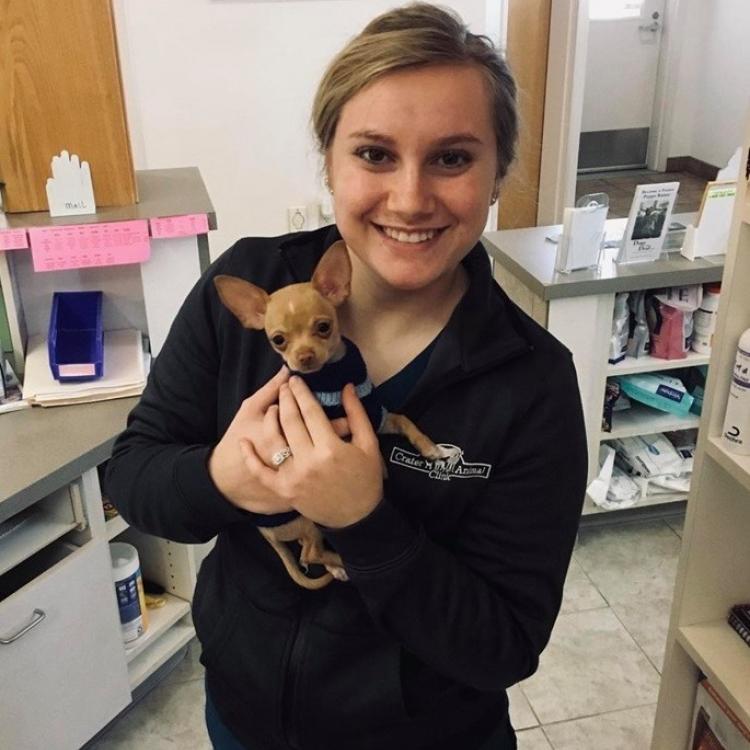 Crater Animal Clinic – Central Point, OR