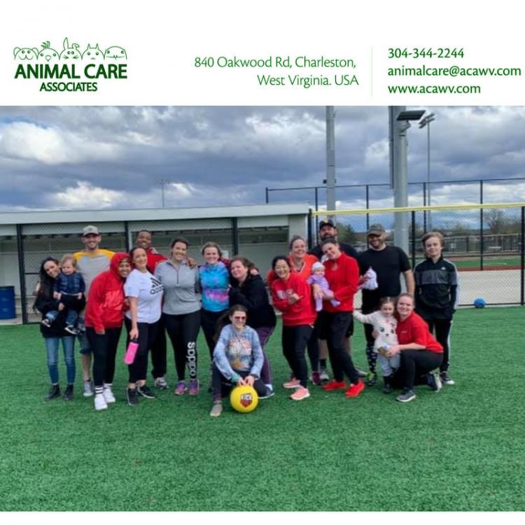 Animal Care Associate Charleston Wv