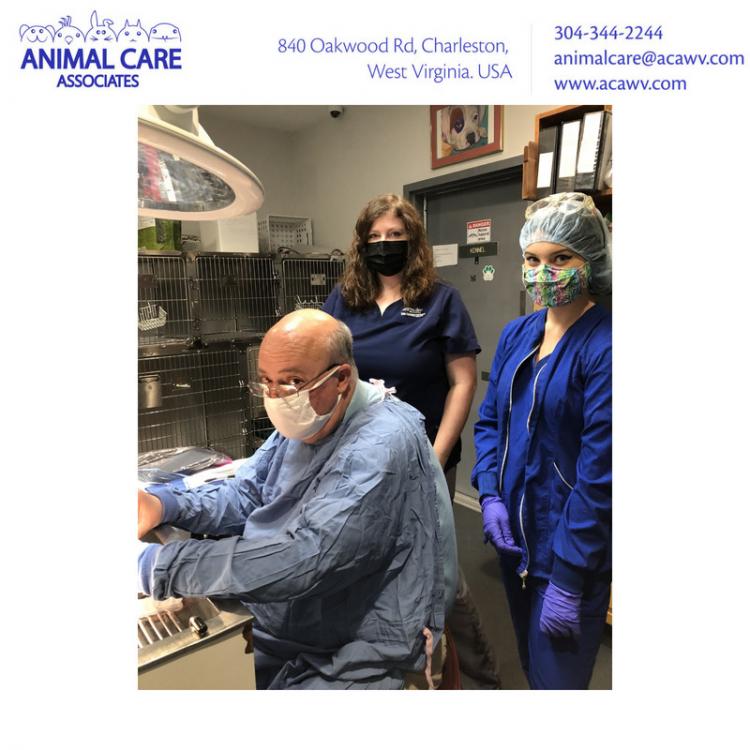 Animal Care Associate Charleston Wv
