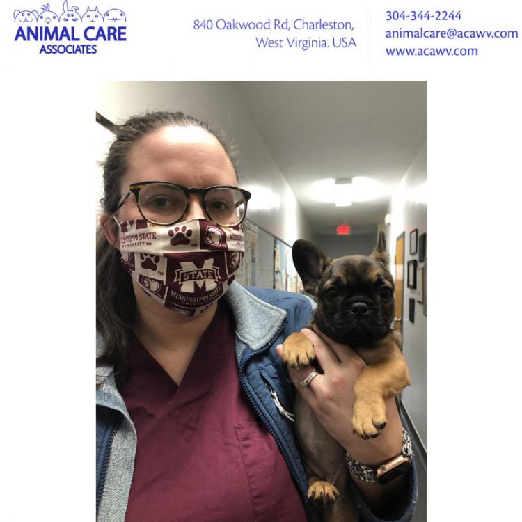 Animal Care Associate Charleston Wv