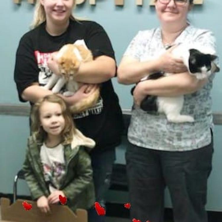 Abbott Animal Hospital – Chicago, IL Abbott Animal Hospital – Chicago, IL