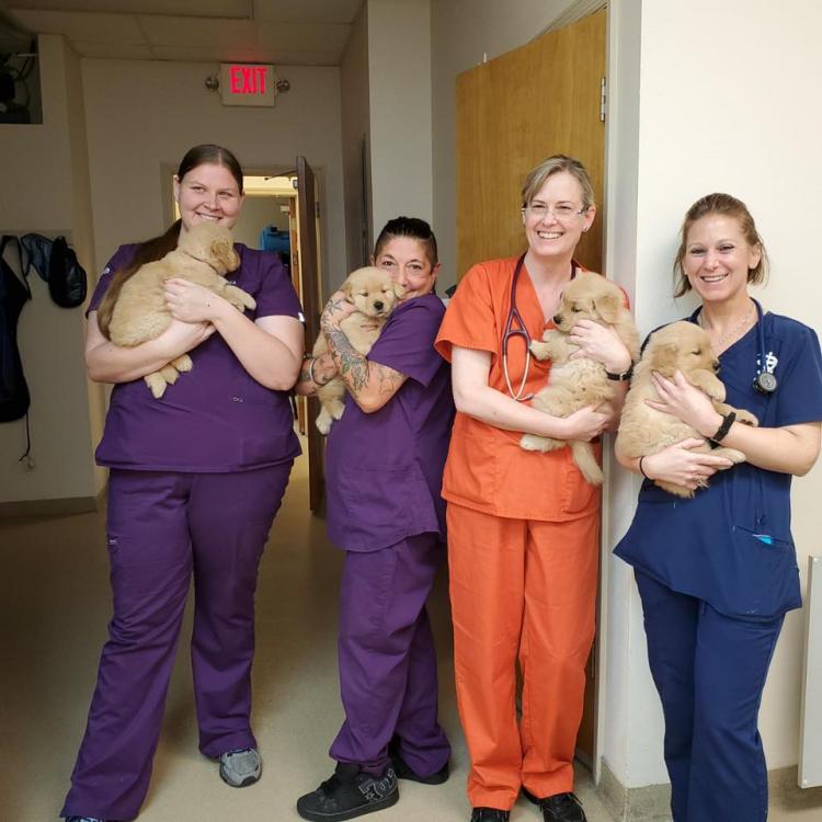 Cocoa Veterinary Hospital Cocoa, FL