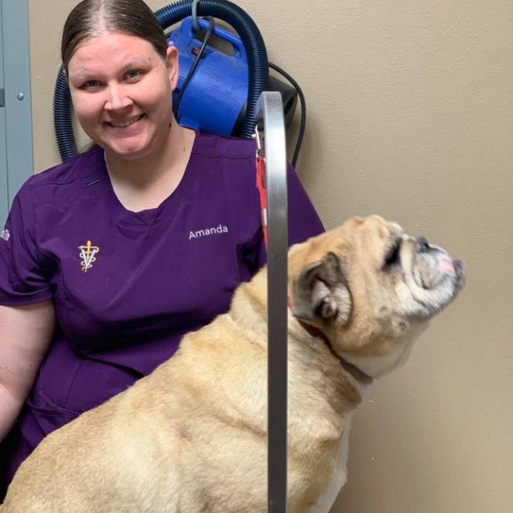 Cocoa Veterinary Hospital Cocoa, FL